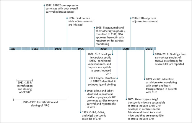 Figura 1: cronología de los descubrimientos de ERBB y Neuregulina (NRG)
